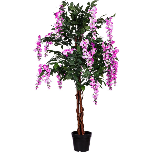 PLANTASIA® Wisteria, 120cm, Pinke Blüten