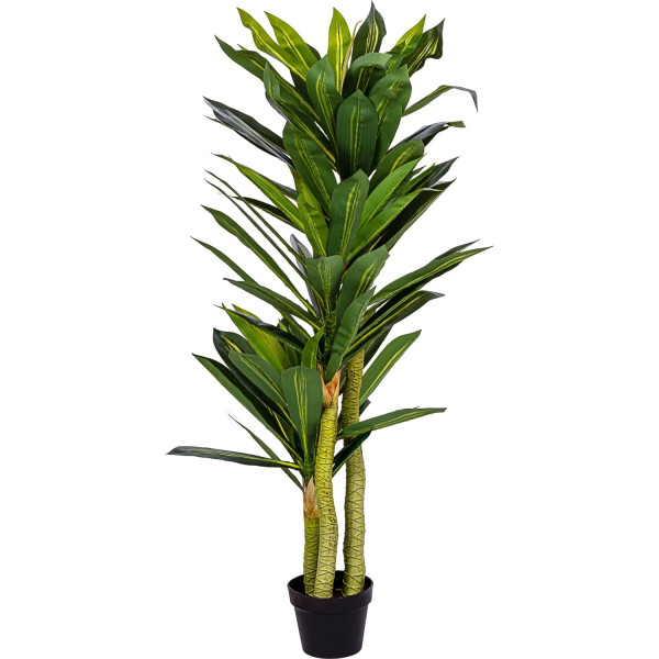 PLANTASIA® Künstlicher Drachenbaum 120 cm, Echtholzstamm, 81 Blätter und 3 Stämme