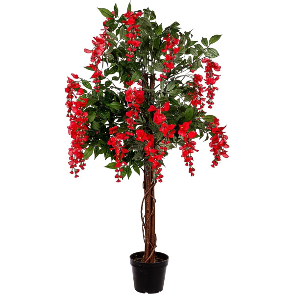 PLANTASIA® Wisteria, 120cm, Rote Blüten