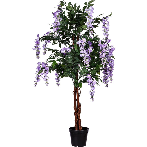 PLANTASIA® Wisteria Blauregen, 150cm, Violette Blüten